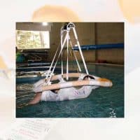 Silvalea Flotation Sling - Image 2