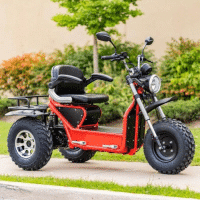 Invader Scooter - Image 3