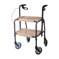 Indoor Trolley with Breaks