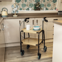 Indoor Trolley with Breaks - Image 2